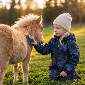 Minihäst Upplevelse För Barn
