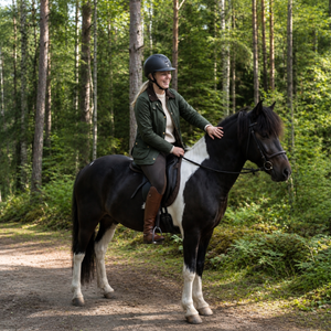 Mysig Ridtur I Skogen