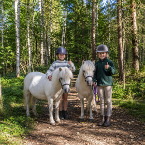 Mysig Ridtur I Skogen