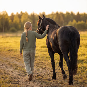 Mindfulness Med Hästar