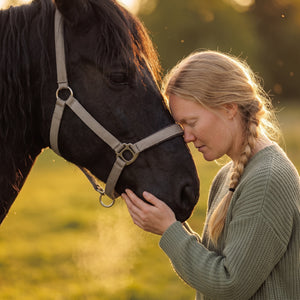 Mindfulness Med Hästar
