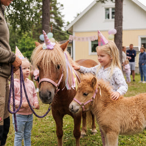 Ponnykalas