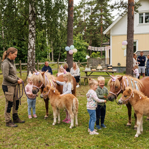 Ponnykalas