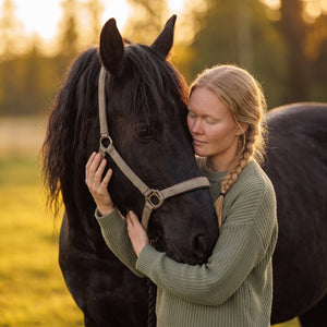 Mindfulness Med Hästar