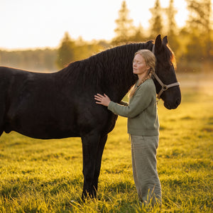 Mindfulness Med Hästar