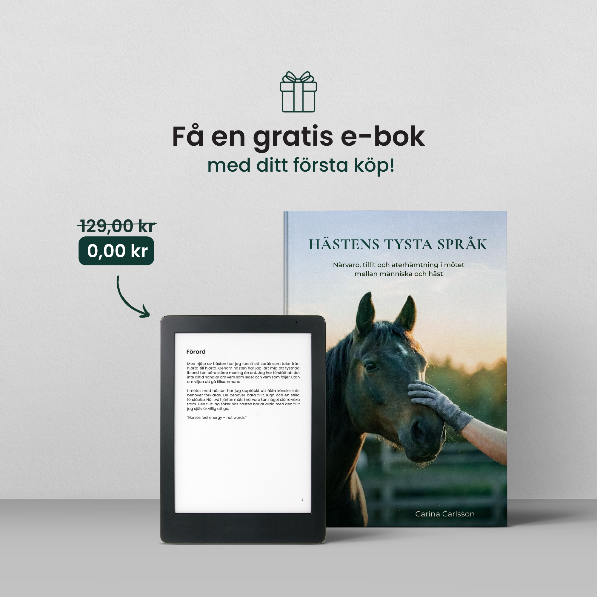 Minihäst Upplevelse För Barn