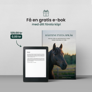 Mysig Ridtur I Skogen
